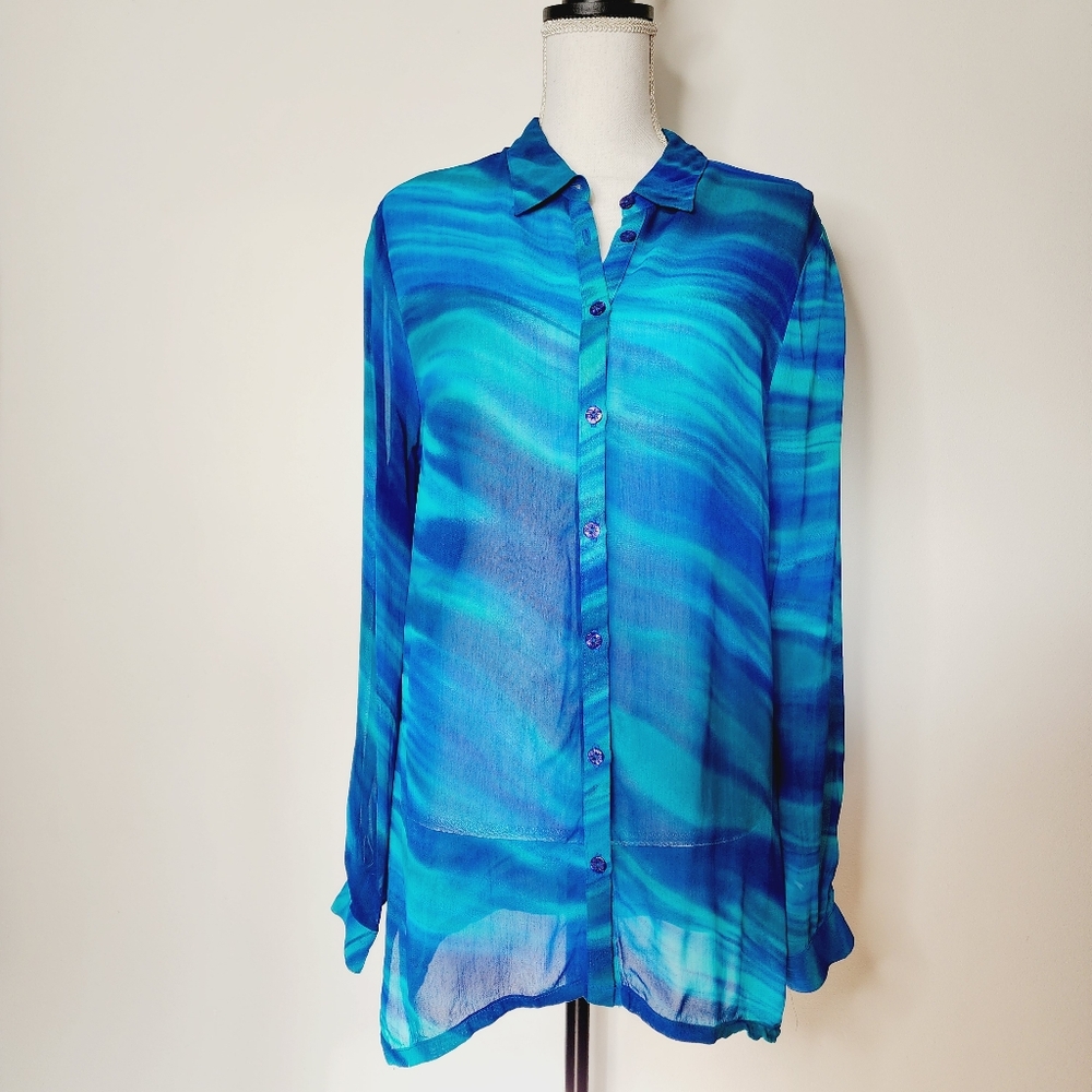 Vintage sheer blue long sleeved blouse